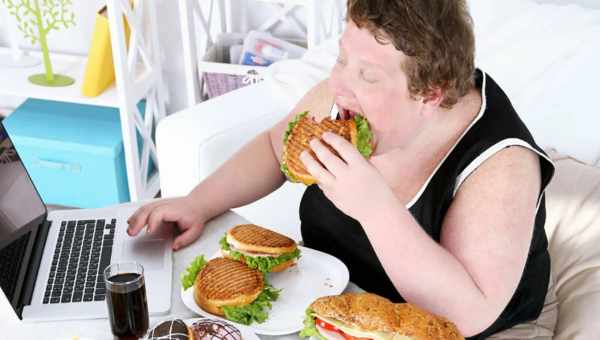 Що робити, якщо у вихованця ожиріння?